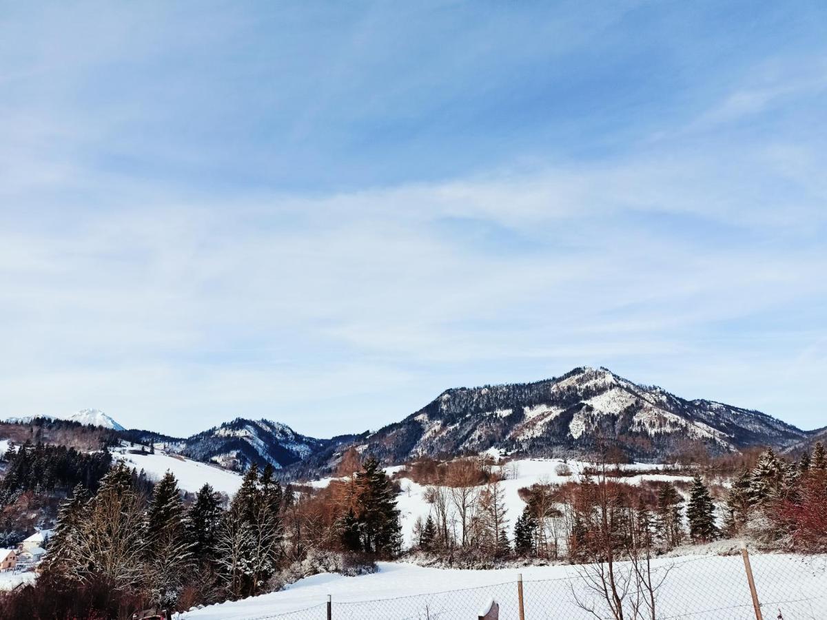 Apartmán Vladimír Bukovina  Exterior foto